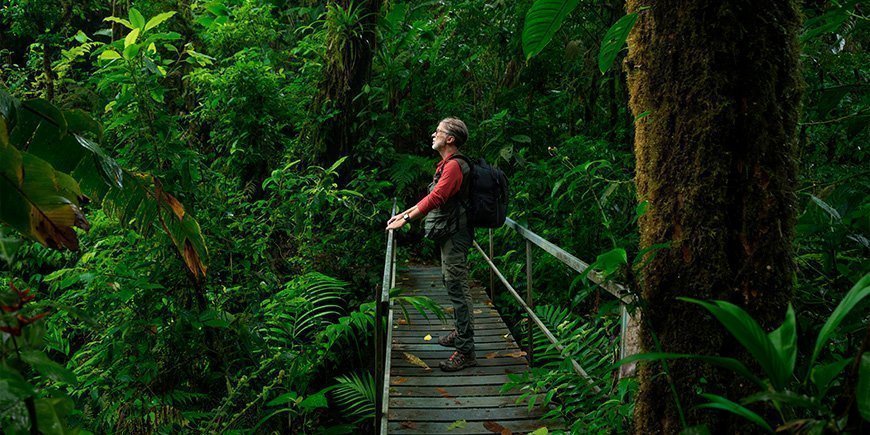 Man standing on a bridge in the Costa Rican jungle