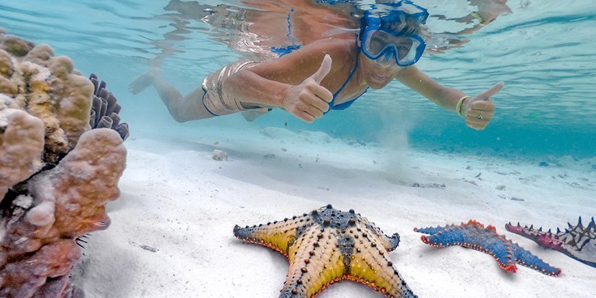 Woman snorkelling in Zanzibar and finds starfish