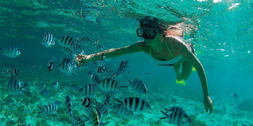 Woman snorkelling in the Indian Ocean off Mauritius.