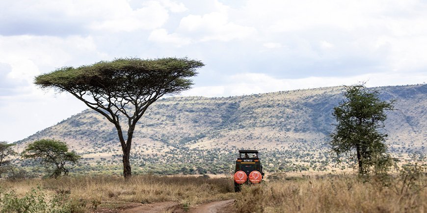 Safari-jeep driving in the landscapes of Tanzania
