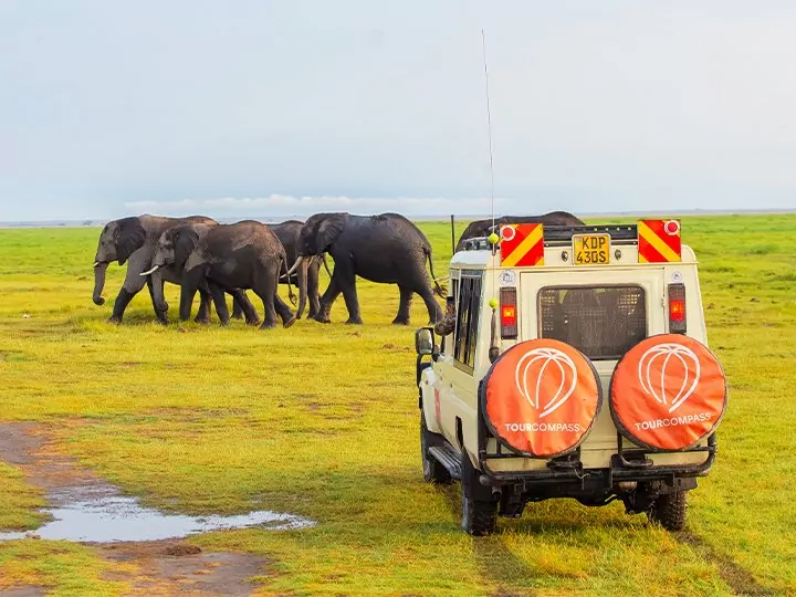 Safari in Kenya & Gorilla Tracking in Uganda