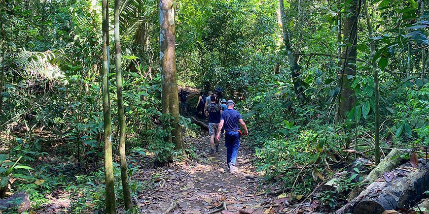 A group of people hiking in Corcovado National Park in Costa Rica