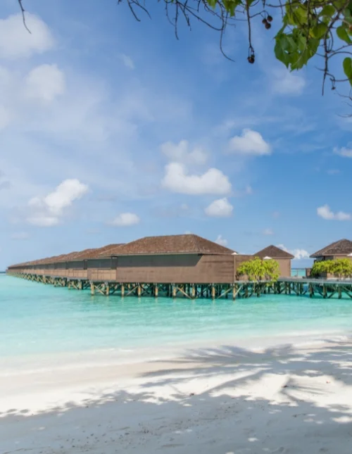 Highlights of Sri Lanka & beach holiday in the Maldives