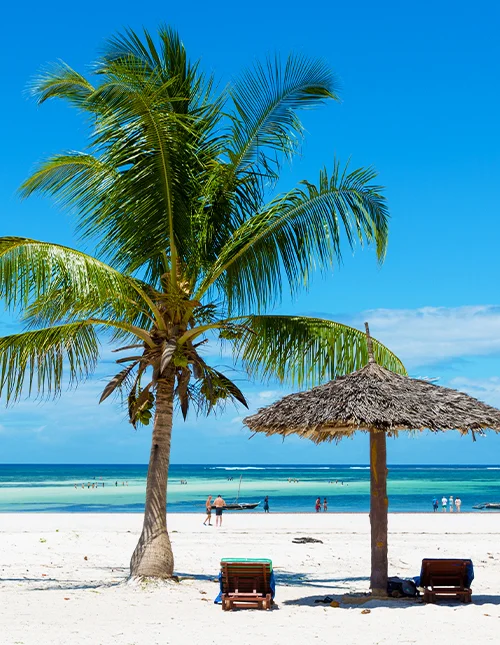 Safari in Amboseli National Park & beach holiday by Mombasa