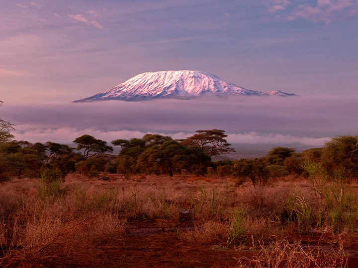 Safari in Amboseli National Park & beach holiday by Mombasa