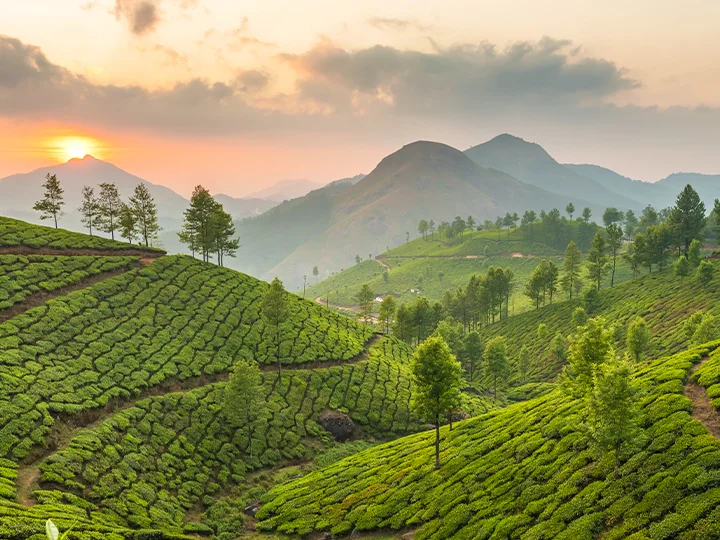 Southern Sri Lanka & beach holiday in the Maldives