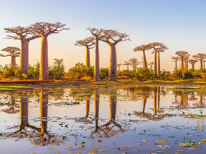 Kenya & Madagascar