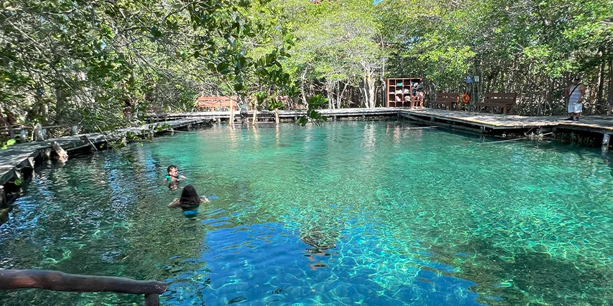 Visit to a beautiful cenote in Mexico