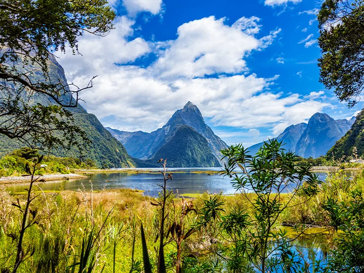 Highlights of New Zealand