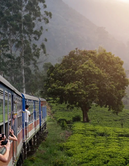 Sri Lanka’s culture and nature & beach holiday in Trincomalee