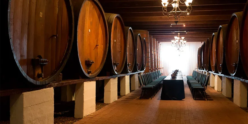 Wine cellar with barrels