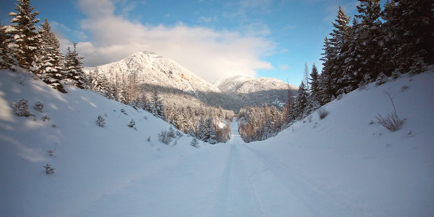 Winter landscapes in the Rocky Mountains