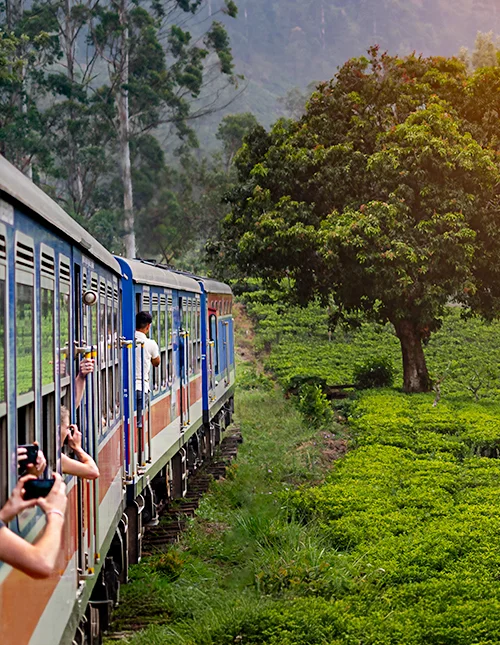 Sri Lanka’s culture and nature & beach holiday in Trincomalee