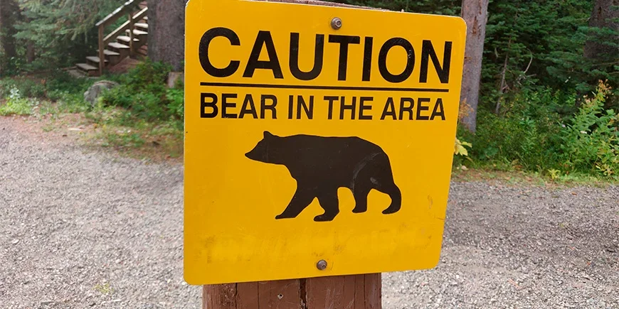 Sign warning that bears are in the area