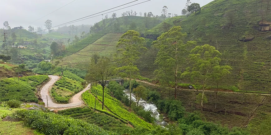 The beautiful highlands of Sri Lanka