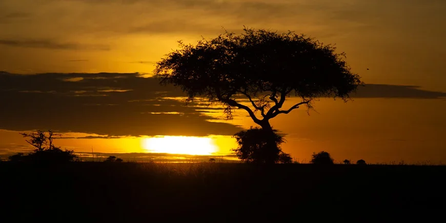 Sunrise over Serengeti in Tanzania