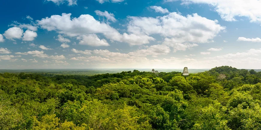 Overview of Tikal National Park with ruins and rainforest