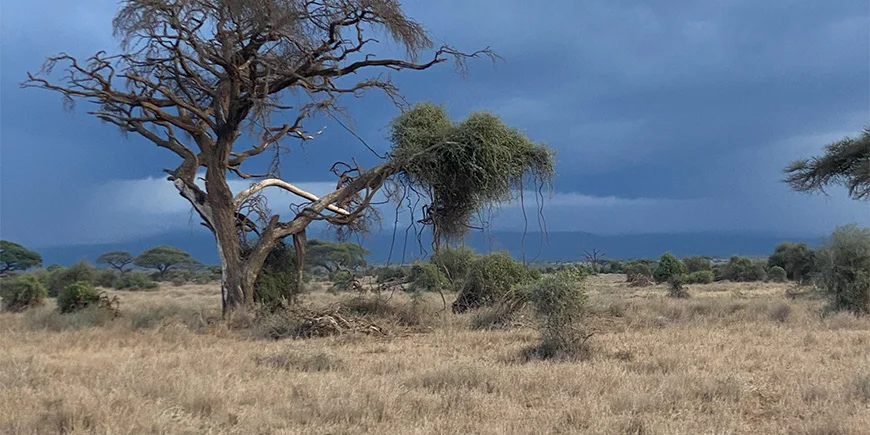 Dramatic sky in Kenya