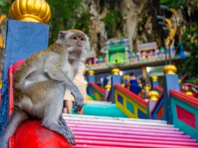 What to see in Malaysia: top 10 attractions - TourCompass