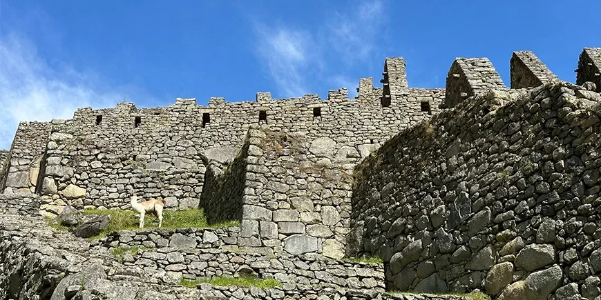 Close to the ruins at Machu Picchu