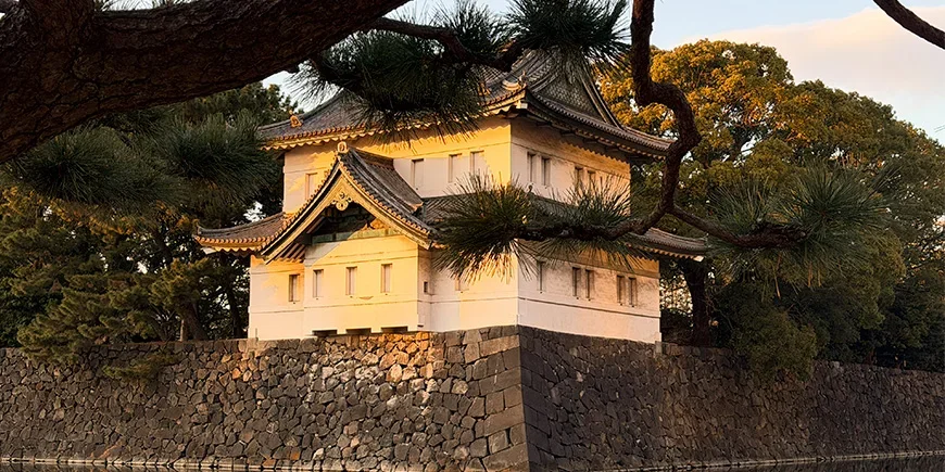 Tokyo Imperial Palace from the side