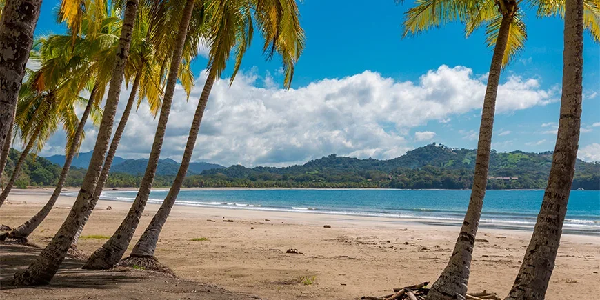 Palm trees and blue sky at Sámara Beach in Costa Rica