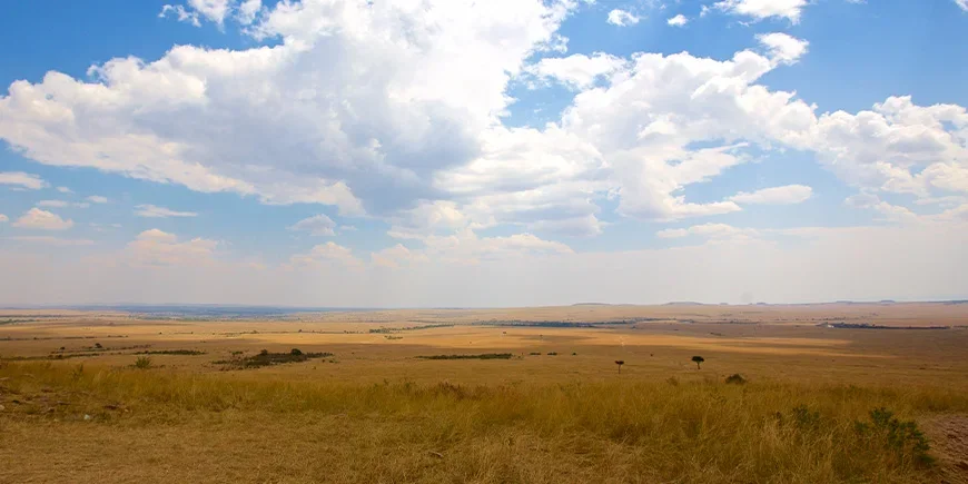 The endless savannah of the Masai Mara in July