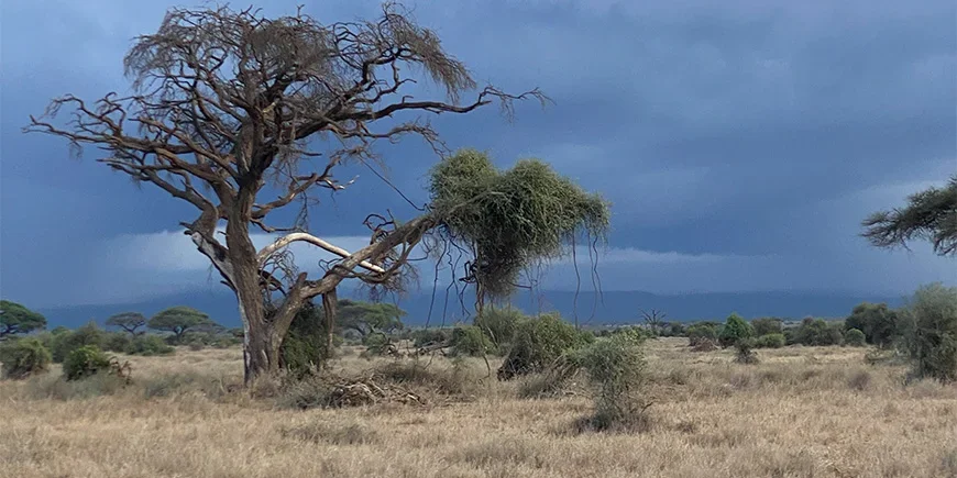 Dramatic skies during the rainy season in Amboseli, Kenya