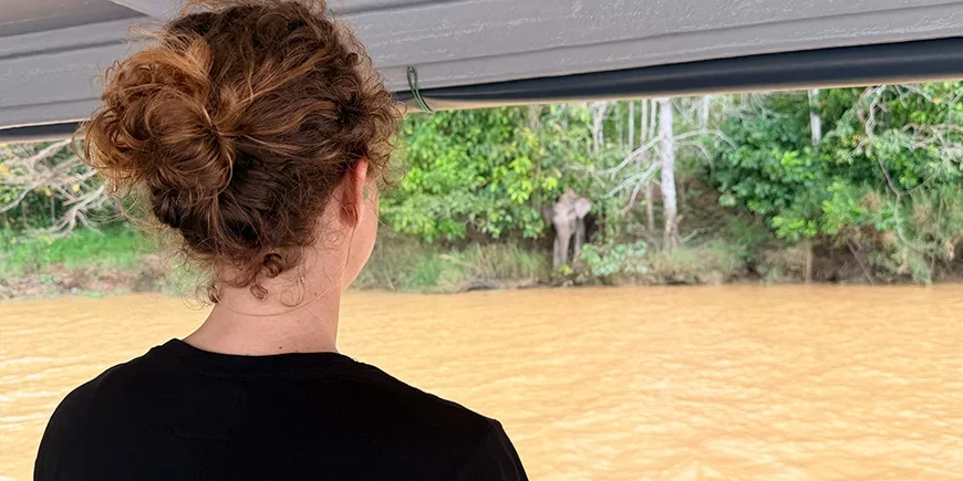Jude from TourCompass watching elephants by the Kinabatangan River