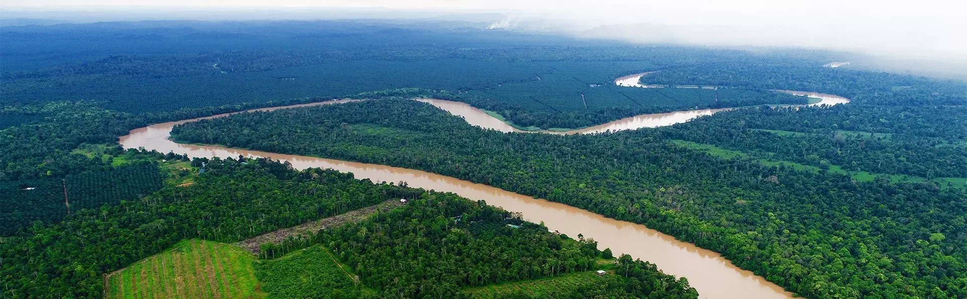 View of the Kinabatangan River in Borneo
