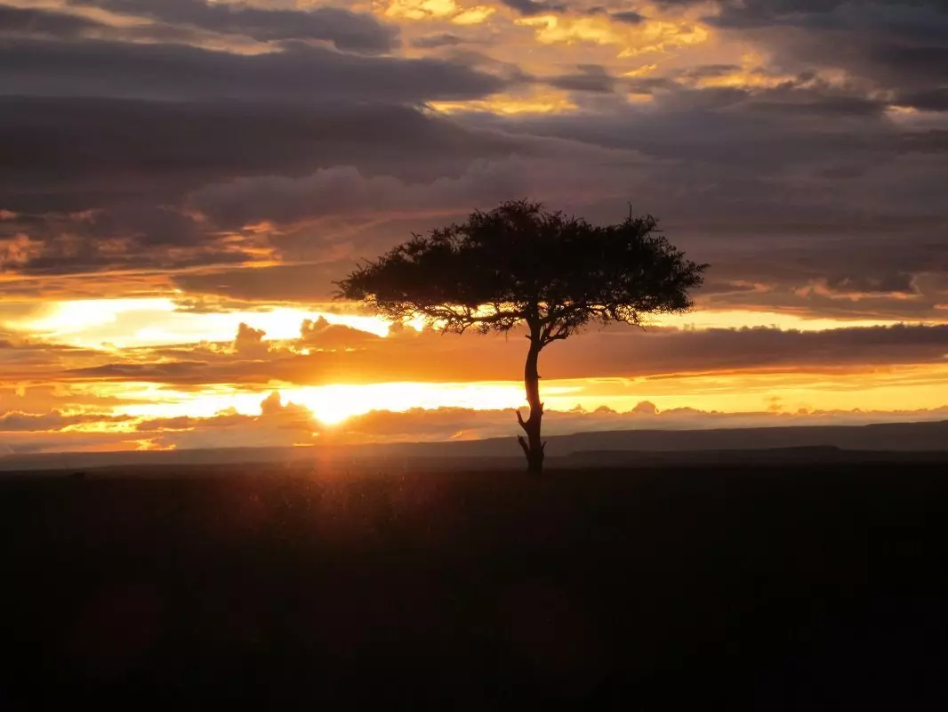 Serengeti National Park