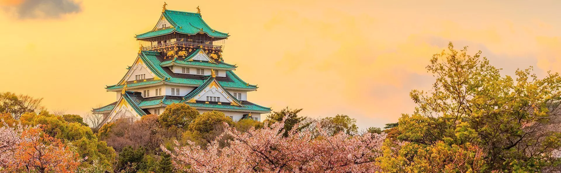 Osaka Castle during Sakura in Osaka, Japan
