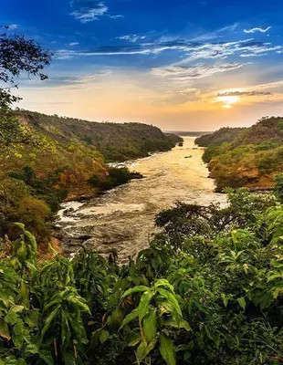 Murchison Falls National Park, Uganda