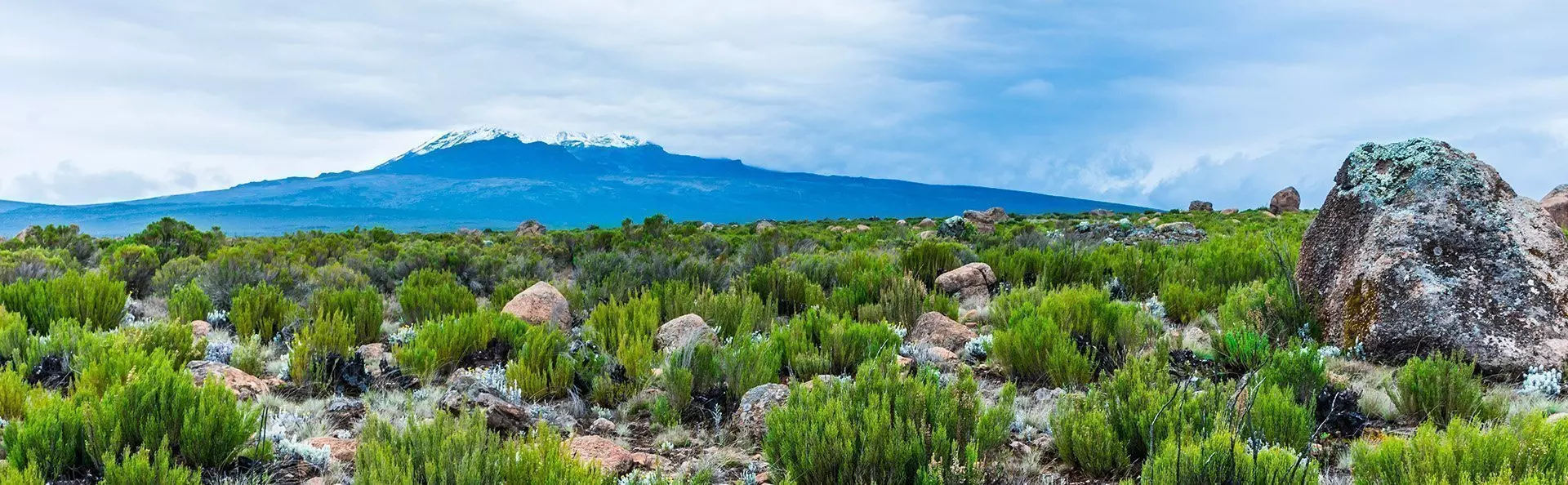View from the Lemosho Route to Kilimanjaro
