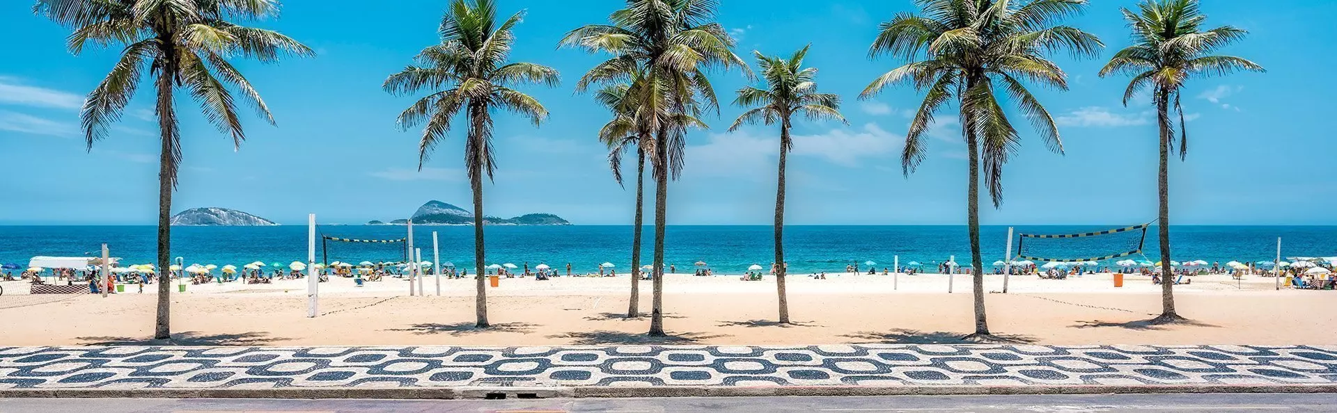 Palm trees in front of a white sandy beach