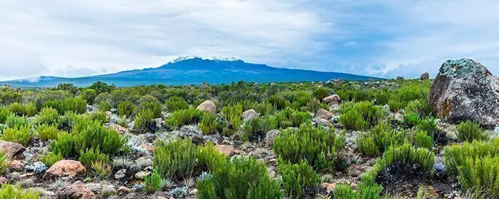 View from the Lemosho Route to Kilimanjaro