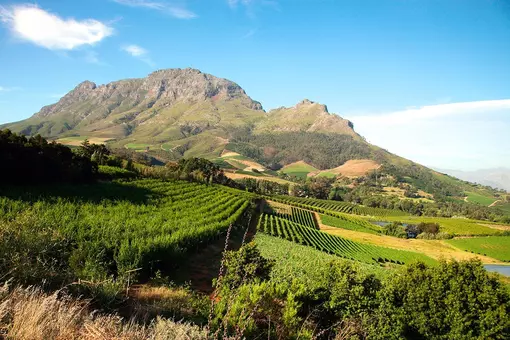 Beautiful views of vineyards and mountains in the winelands outside Cape Town