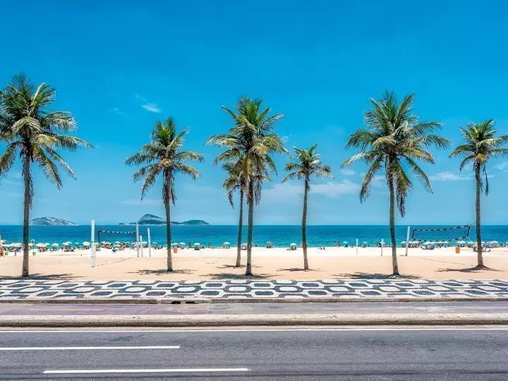 Palm trees in front of a white sandy beach