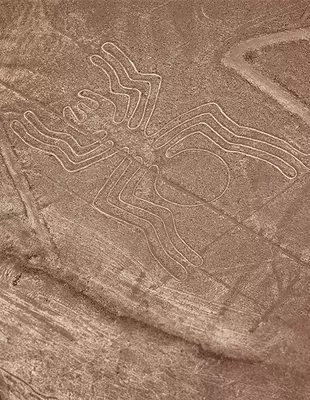 The Nazca Lines of the spider in the Peruvian desert