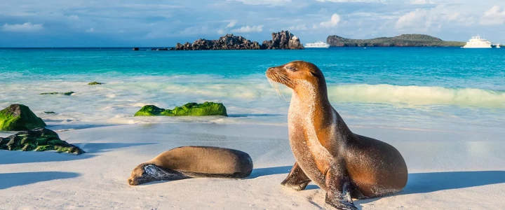 Ecuador / Galapagos