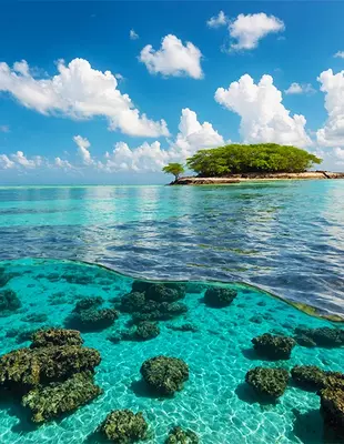 Coral reef and clear water at Malindi, Kenya