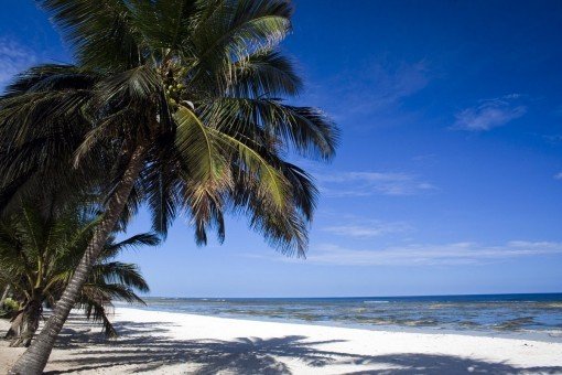 Chalk-white beaches in Mombasa