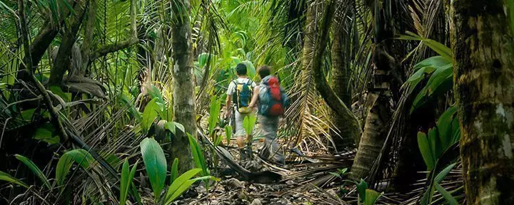 hikers in corcovado national park