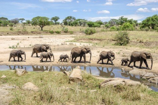 Tarangire National Park