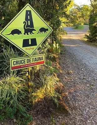 Road sign with Latin American animals