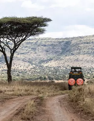 Safari car under tree in Tanzania