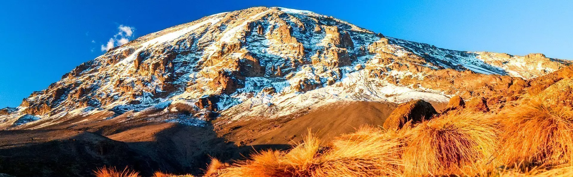 Kilimanjaro at sunrise