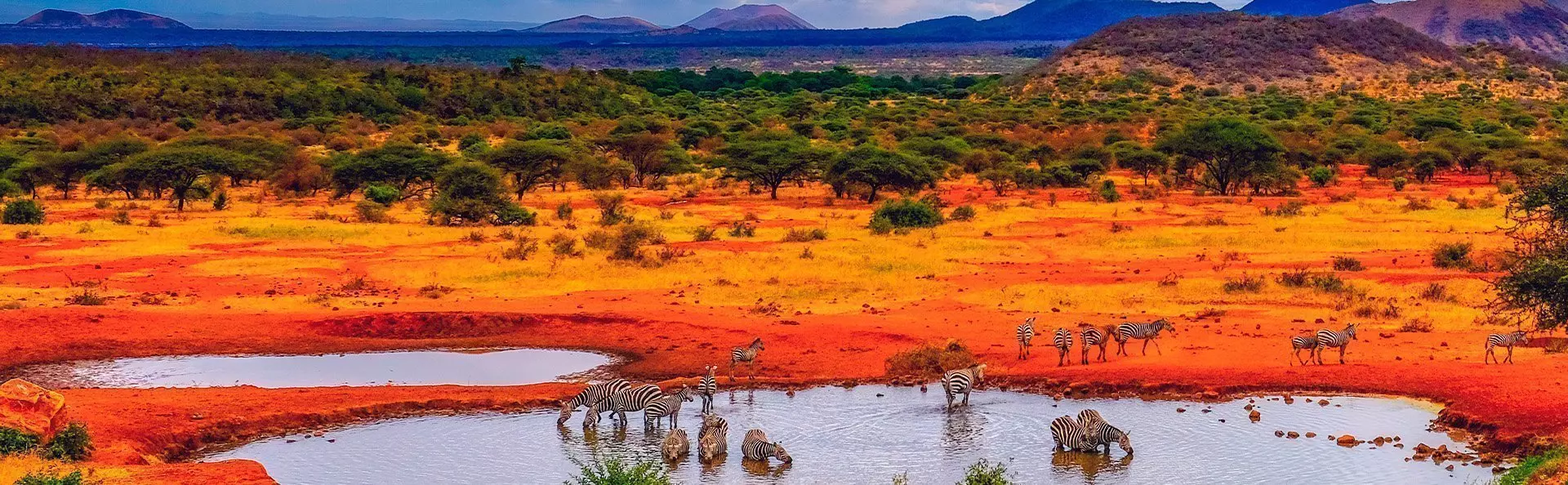 Zebras by lake in Tsavo National Park, Kenya