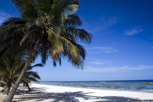 The white sandy beaches of Mombasa