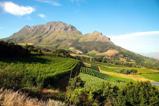 Outside Cape Town, there are beautiful views of vineyards and mountains